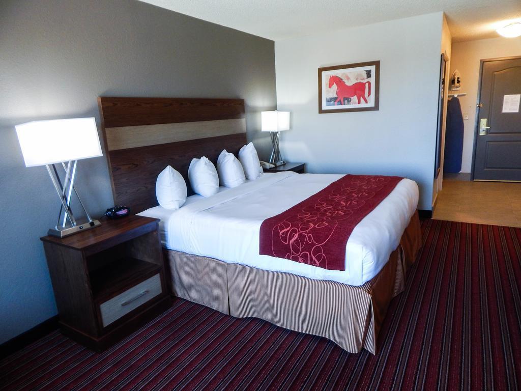 Country Inn & Suites By Radisson, Dfw Airport South, Tx Irving Dış mekan fotoğraf